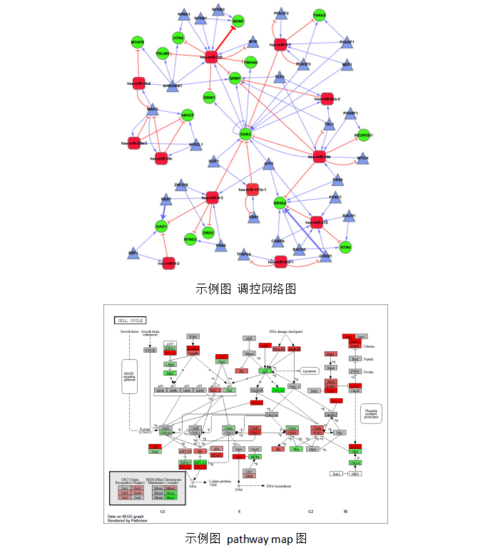 高通量數據庫挖掘與網絡圖構建分析研討會201911月上海班