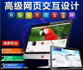 數字媒體應用技術專業