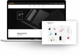 包裝行業(yè)網(wǎng)站建設(shè) 樂(lè)品官網(wǎng)建設(shè) 禮品行業(yè)網(wǎng)站開(kāi)發(fā) 上海網(wǎng)站建設(shè)公司 邁若網(wǎng)絡(luò)網(wǎng)站設(shè)計(jì)案例